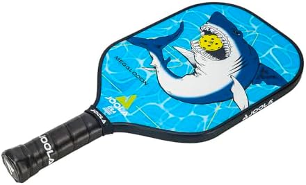 JOOLA Durable & Beginner-Friendly Pickleball Paddle - USAP Approved, Reinforced Fiberglass Surface & Honeycomb Polypropy