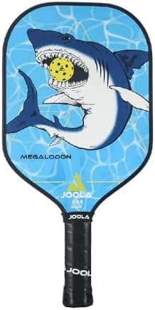 JOOLA Durable & Beginner-Friendly Pickleball Paddle - USAP Approved, Reinforced Fiberglass Surface & Honeycomb Polypropy