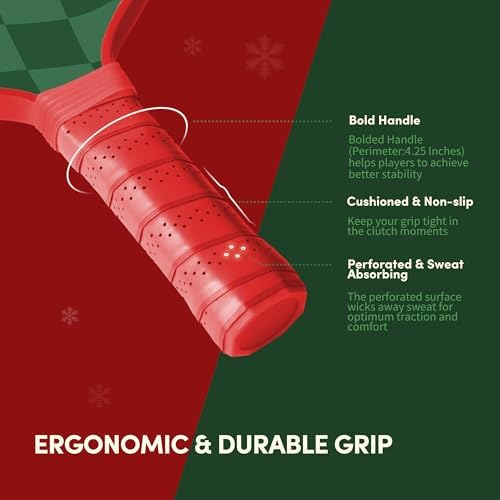 USAPA Approved Graphite/Fiberglass Pickleball Racket Set for Men and Women Beginners