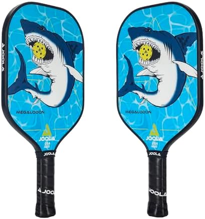 JOOLA Durable & Beginner-Friendly Pickleball Paddle - USAP Approved, Reinforced Fiberglass Surface & Honeycomb Polypropy