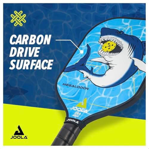 JOOLA Durable & Beginner-Friendly Pickleball Paddle - USAP Approved, Reinforced Fiberglass Surface & Honeycomb Polypropy