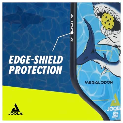 JOOLA Durable & Beginner-Friendly Pickleball Paddle - USAP Approved, Reinforced Fiberglass Surface & Honeycomb Polypropy