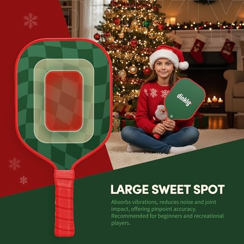 USAPA Approved Graphite/Fiberglass Pickleball Racket Set for Men and Women Beginners