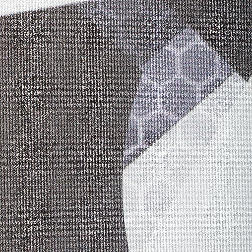 Onix Graphite MOD Z5 Carbon Fiber Pickleball Paddles for BeginnersComfortable Cushioned Grip 16x38 Inches