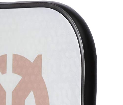 Onix Evoke Premier Professional Tournament Pickleball Paddle Composite Face Impact Paddle Shape for Elite Players in Tou