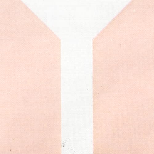 Onix Evoke Premier Professional Tournament Pickleball Paddle Composite Face Impact Paddle Shape for Elite Players in Tou