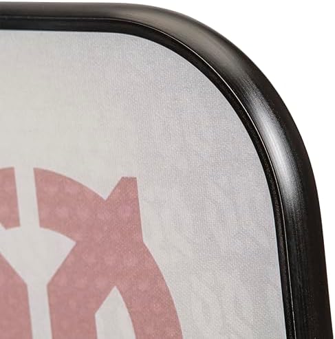 Onix Evoke Premier Professional Tournament Pickleball Paddle Composite Face Impact Paddle Shape for Elite Players in Tou