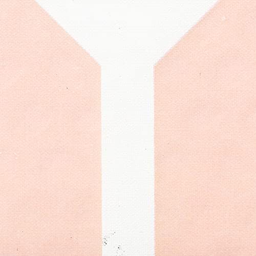 Onix Evoke Premier Professional Tournament Pickleball Paddle Composite Face Impact Paddle Shape for Elite Players in Tou