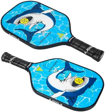 JOOLA Pickleball Paddle - USAP Approved, Reinforced Fiberglass Surface & Honeycomb Polypropylene Core, Durable & Beginne