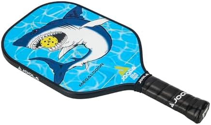 JOOLA Pickleball Paddle - USAP Approved, Reinforced Fiberglass Surface & Honeycomb Polypropylene Core, Durable & Beginne
