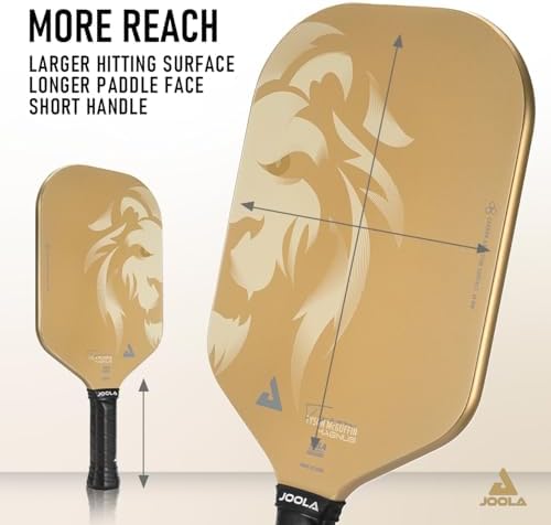 JOOLA Ben Johns Hyperion Carbon Fiber Pickleball Paddle for Increased Power and Spin | JOOLA Ben Johns Hyperion Pickleb
