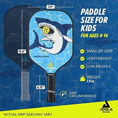 JOOLA Pickleball Paddle - USAP Approved, Reinforced Fiberglass Surface & Honeycomb Polypropylene Core, Durable & Beginne