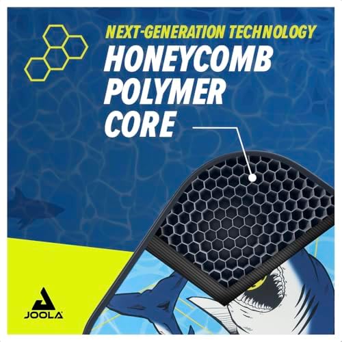 JOOLA Pickleball Paddle - USAP Approved, Reinforced Fiberglass Surface & Honeycomb Polypropylene Core, Durable & Beginne