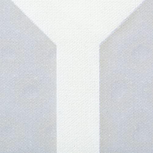 Onix Evoke Premier Professional Tournament Pickleball Paddle Composite Face Impact Paddle Shape for Elite Players in Tou