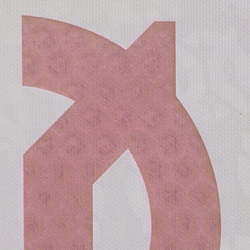 Onix Evoke Premier Professional Tournament Pickleball Paddle Composite Face Impact Paddle Shape for Elite Players in Tou