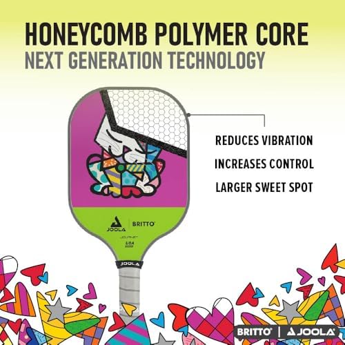 JOOLA Pickleball Paddle - USAP Approved, Reinforced Fiberglass Surface & Honeycomb Polypropylene Core, Durable & Beginne